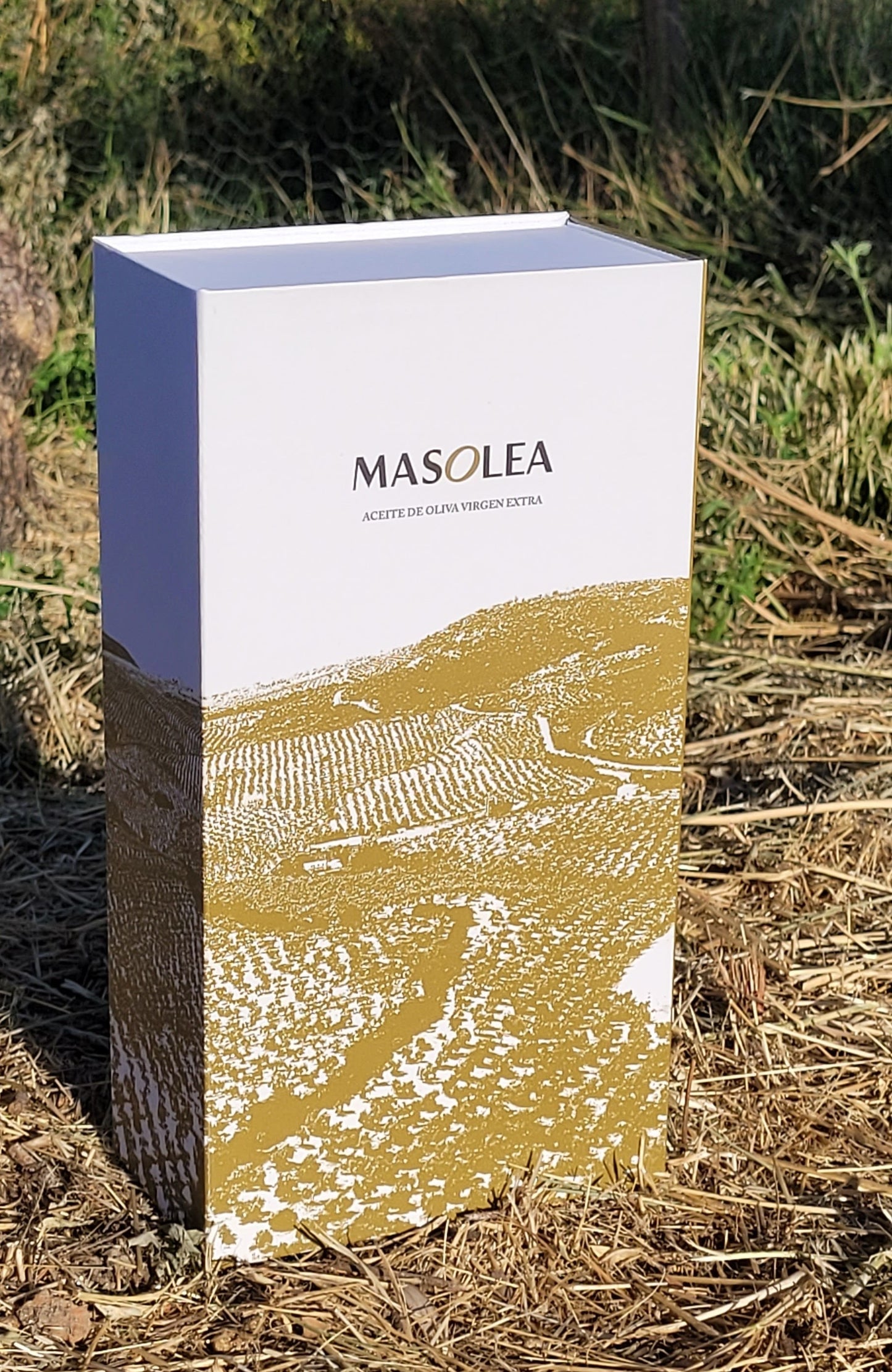 AOVE Picual 500ml PACK x 6. Precio especial + 2 estuches de regalo.