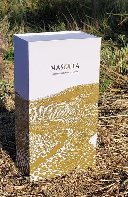 AOVE Picual 500ml PACK x 6. Precio especial + 2 estuches de regalo.