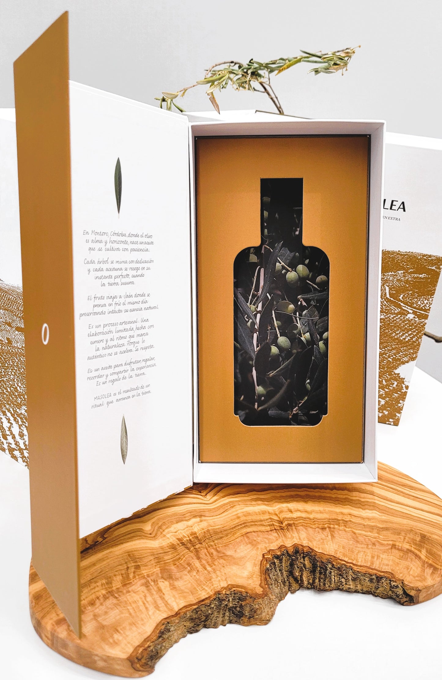 AOVE Picual 500ml PACK x 6. Precio especial + 2 estuches de regalo.