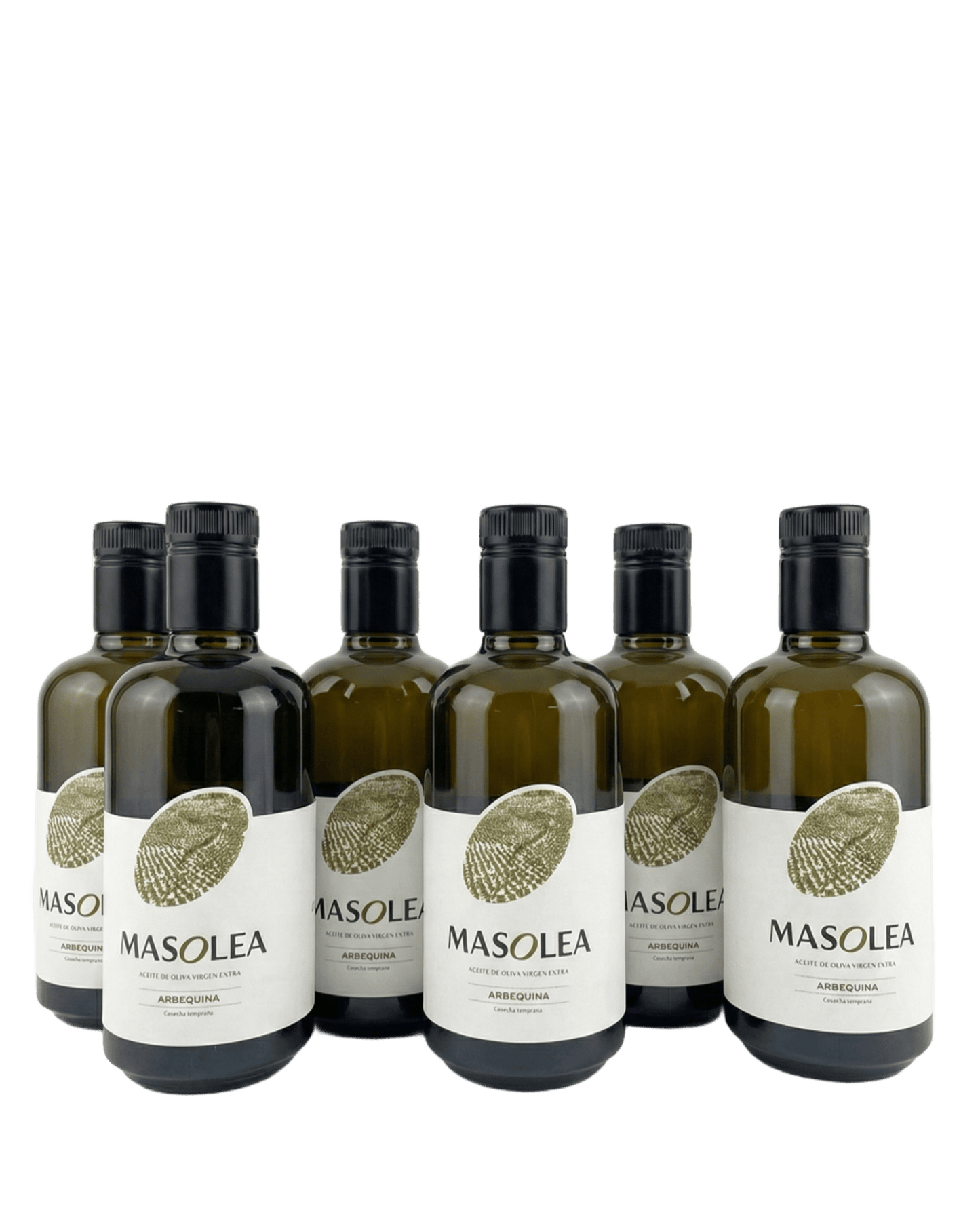 AOVE Arbequina 500ml PACK x 6.