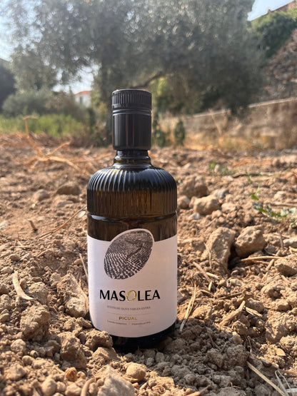 AOVE Picual 500ml PACK x 4. Precio especial + 1 estuche de regalo.